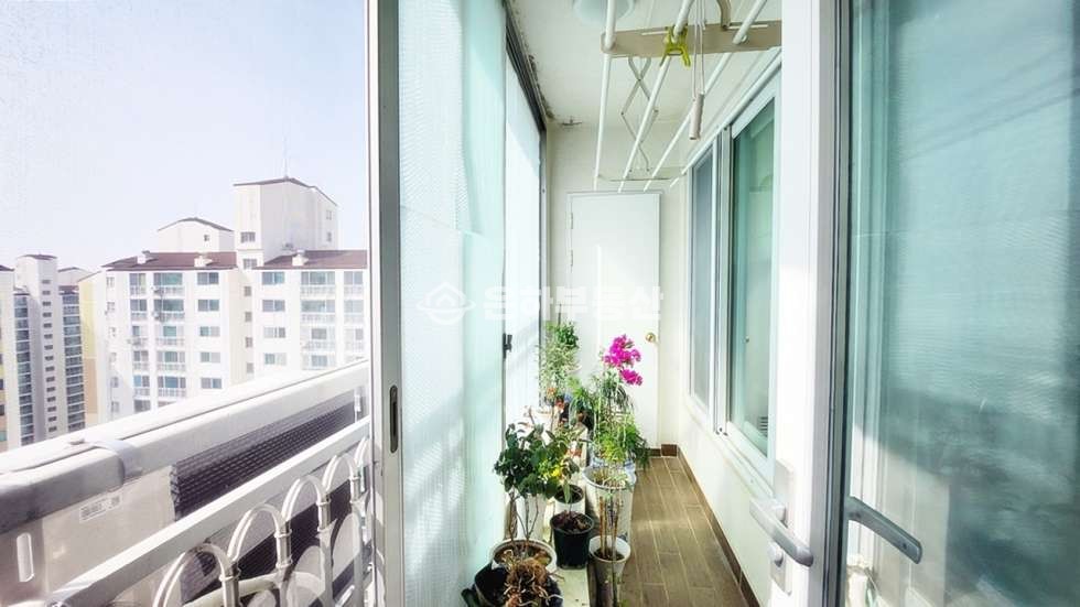 경기 수원장안구 조원동 대추골도서관 도보4분 해잘드는 탑층 전세 매물번호 10242 사진 5