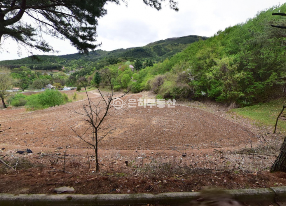 충북 단양군 영춘면 사지원리 1000p, 캠핑장 추천 토지 매매 매물번호 10285 사진 2