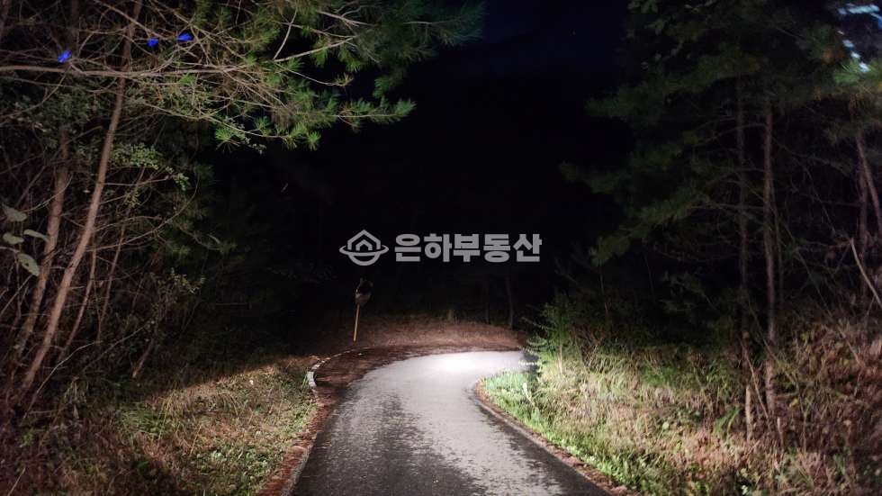 충북 단양군 영춘면 사지원리 1000p, 캠핑장 추천 토지 매매 매물번호 10285 사진 3