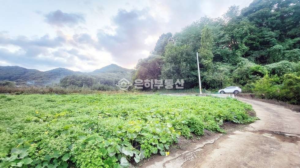 충북 단양군 단성면 두항리 77 약 4500p,한국탐험학교 인근 계획관리지역 토지매매 매매 매물번호 10284 사진 1