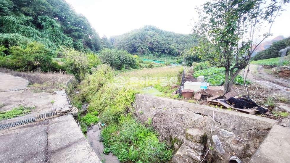 충북 단양군 단성면 두항리 77 약 4500p,한국탐험학교 인근 계획관리지역 토지매매 매매 매물번호 10284 사진 4