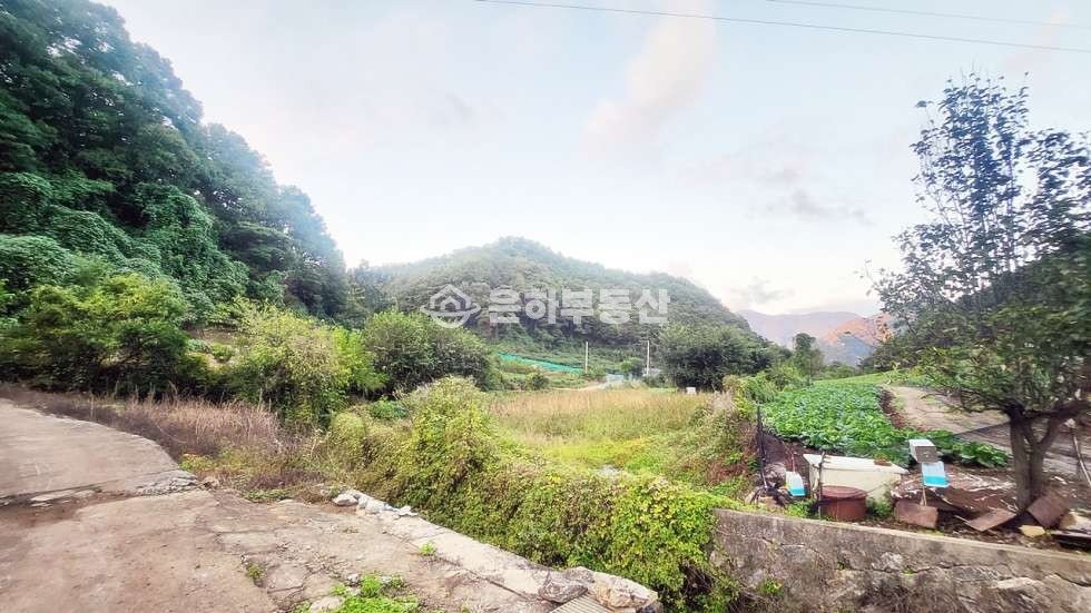 충북 단양군 단성면 두항리 77 약 4500p,한국탐험학교 인근 계획관리지역 토지매매 매매 매물번호 10284 사진 5