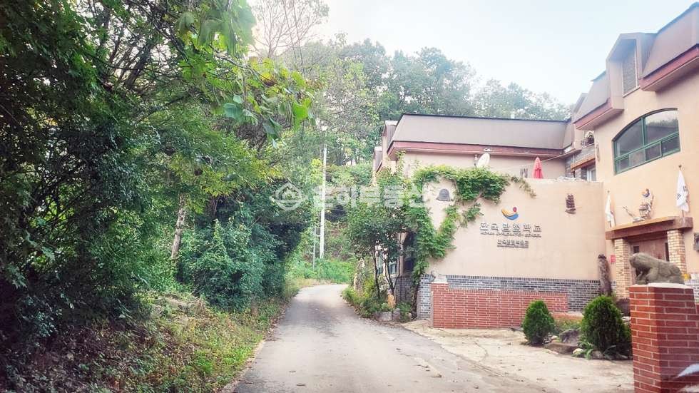 충북 단양군 단성면 두항리 77 약 4500p,한국탐험학교 인근 계획관리지역 토지매매 매매 매물번호 10284 사진 11