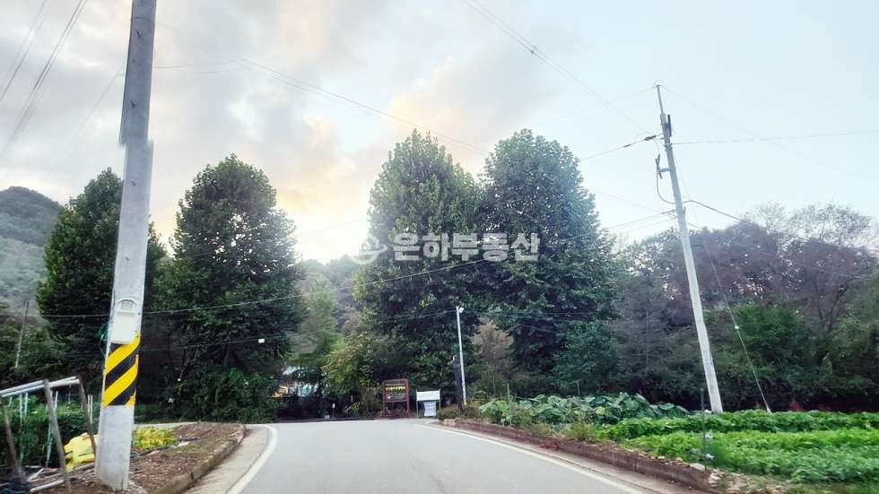 충북 단양군 단성면 두항리 77 약 4500p,한국탐험학교 인근 계획관리지역 토지매매 매매 매물번호 10284 사진 12